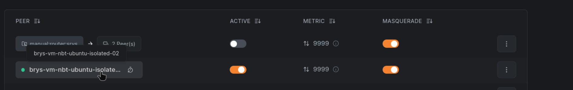 Network's `manual:router:srvs` router
